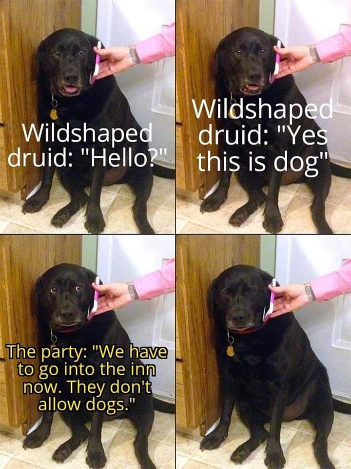 D&D memes, dnd memes, Dungeons & dragons, Dungeons and Dragons memes, tabletop memes, RPG memes, funny D&D jokes, dice memes, dungeon master memes, critical fail memes, d20 memes, adventurer memes, fantasy memes, role-playing memes, nerd humor, gaming memes, campaign memes, paladin memes, bard memes, warlock memes, party memes, geek memes