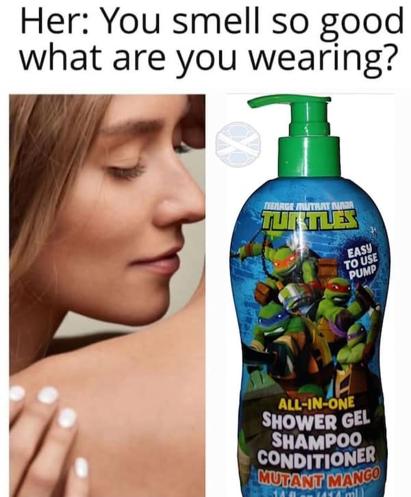 dumb meme, stupid memes, dumb memes, ridiculous memes, absurd memes, brainless memes, hilarious memes, goofy memes, nonsensical memes