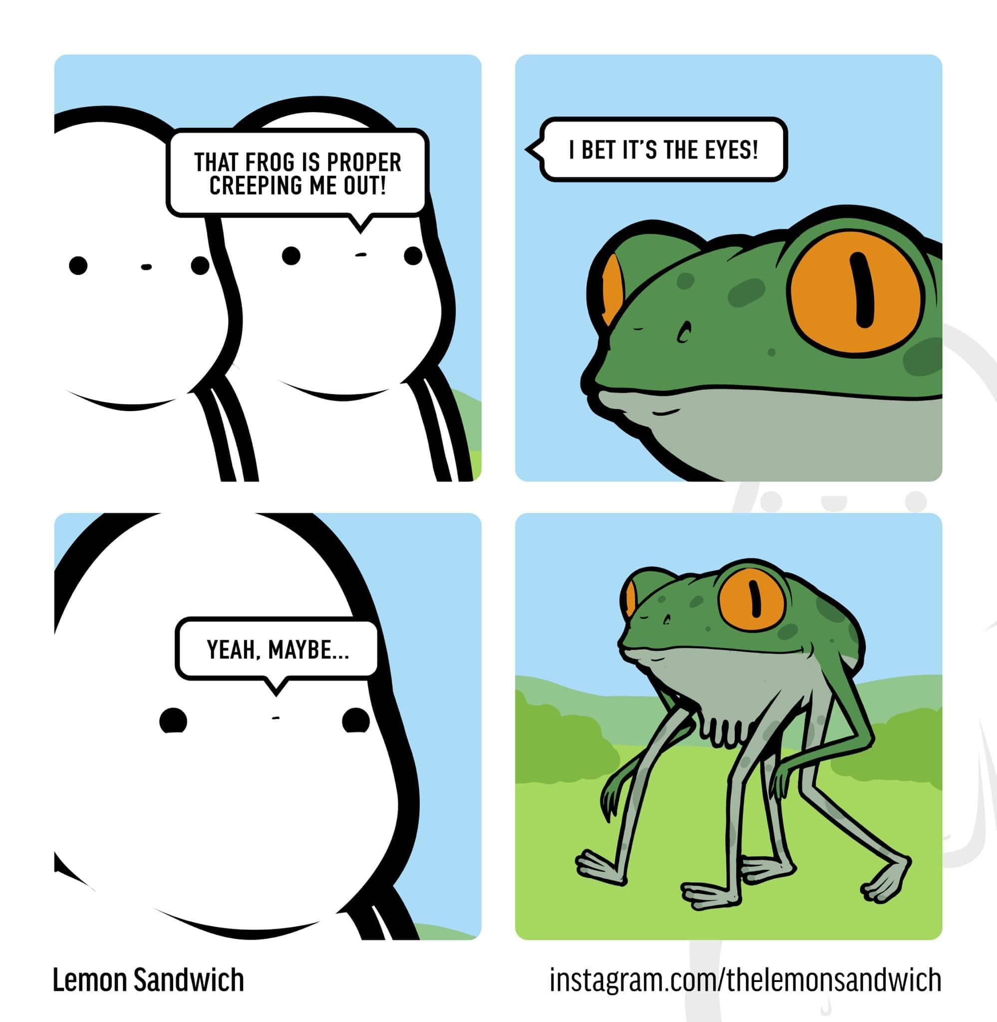 frog meme, frog memes, cute frog memes, toad memes, funny frog memes, amphibian memes, ribbit memes, frog jokes, frog humor, lily pad memes, swamp memes, hop memes, frog pictures, frog laughs, meme frogs, funny amphibian pics, toad jokes, frog lol, pond memes, frog collection
