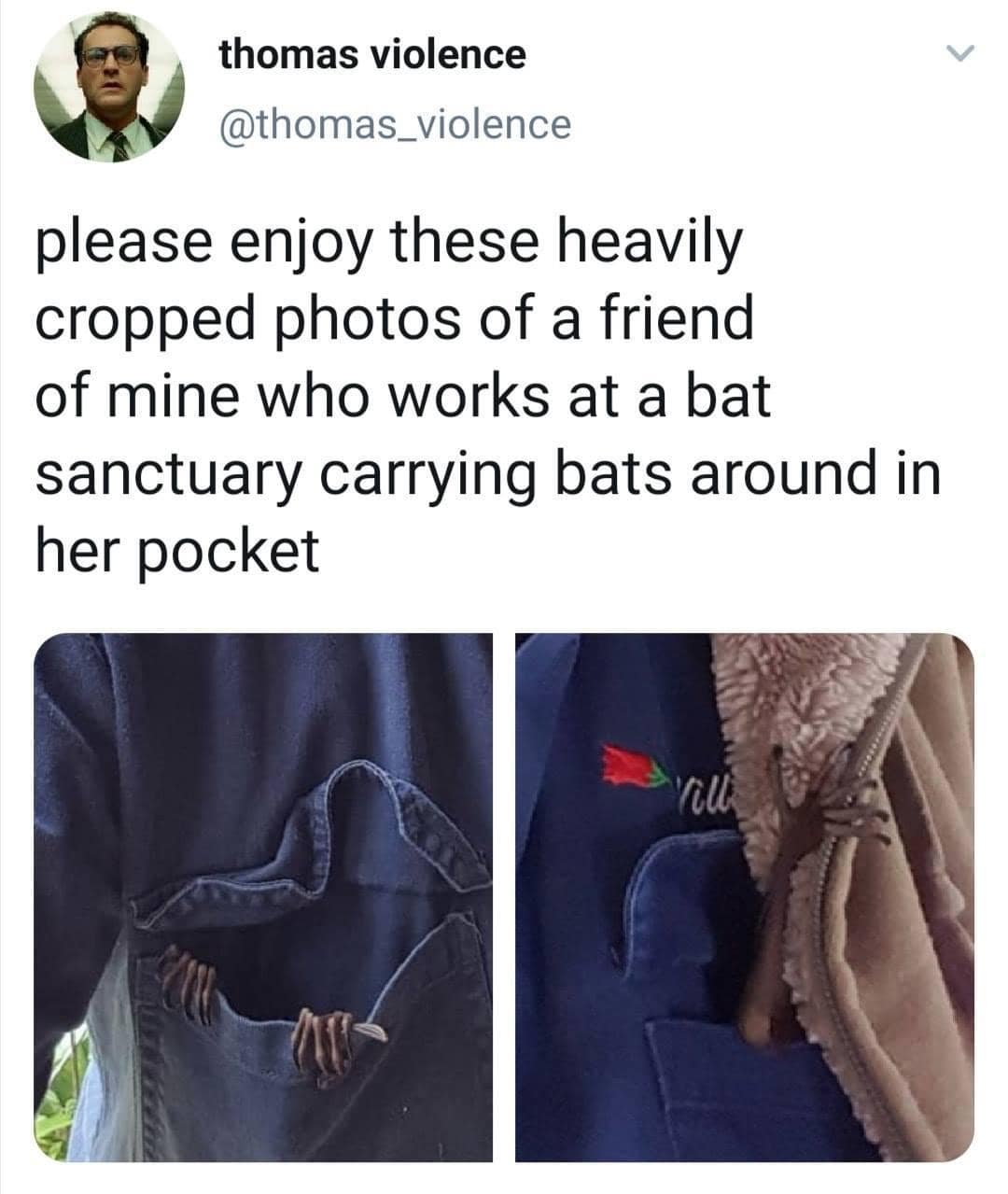 meme dump, funny memes, hilarious memes, trending memes, viral memes, office memes, lunch memes, break-time memes, humor memes, internet memes, dank memes, laugh memes, meme collection, daily memes, dank meme dump, internet meme, memes funny