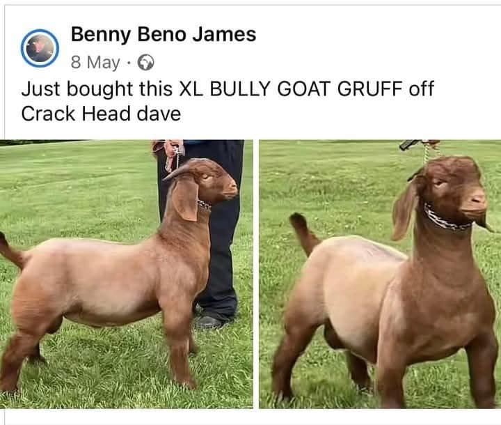meme dump, funny memes, hilarious memes, trending memes, viral memes, office memes, lunch memes, break-time memes, humor memes, internet memes, dank memes, laugh memes, meme collection, daily memes, dank meme dump, internet meme, memes funny
