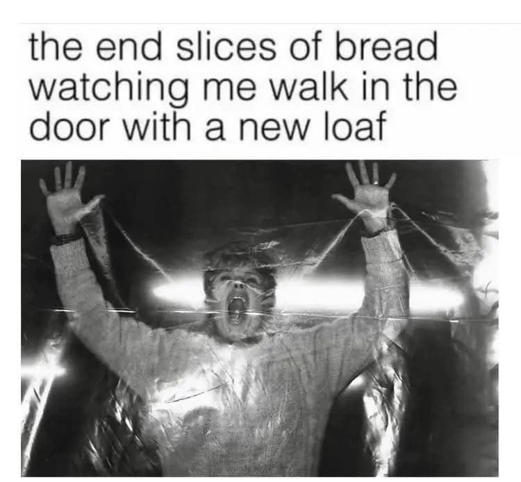 the end slices of bread watching me walk in the door with a new loaf