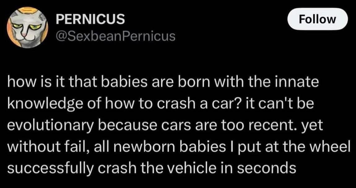 PERNICUS @SexbeanPernicus Follow how is it that babies are born with the innate knowledge of how to crash a car? it can't be evolutionary because cars are too recent. yet without fail, all newborn babies I put at the wheel successfully crash the vehicle in seconds