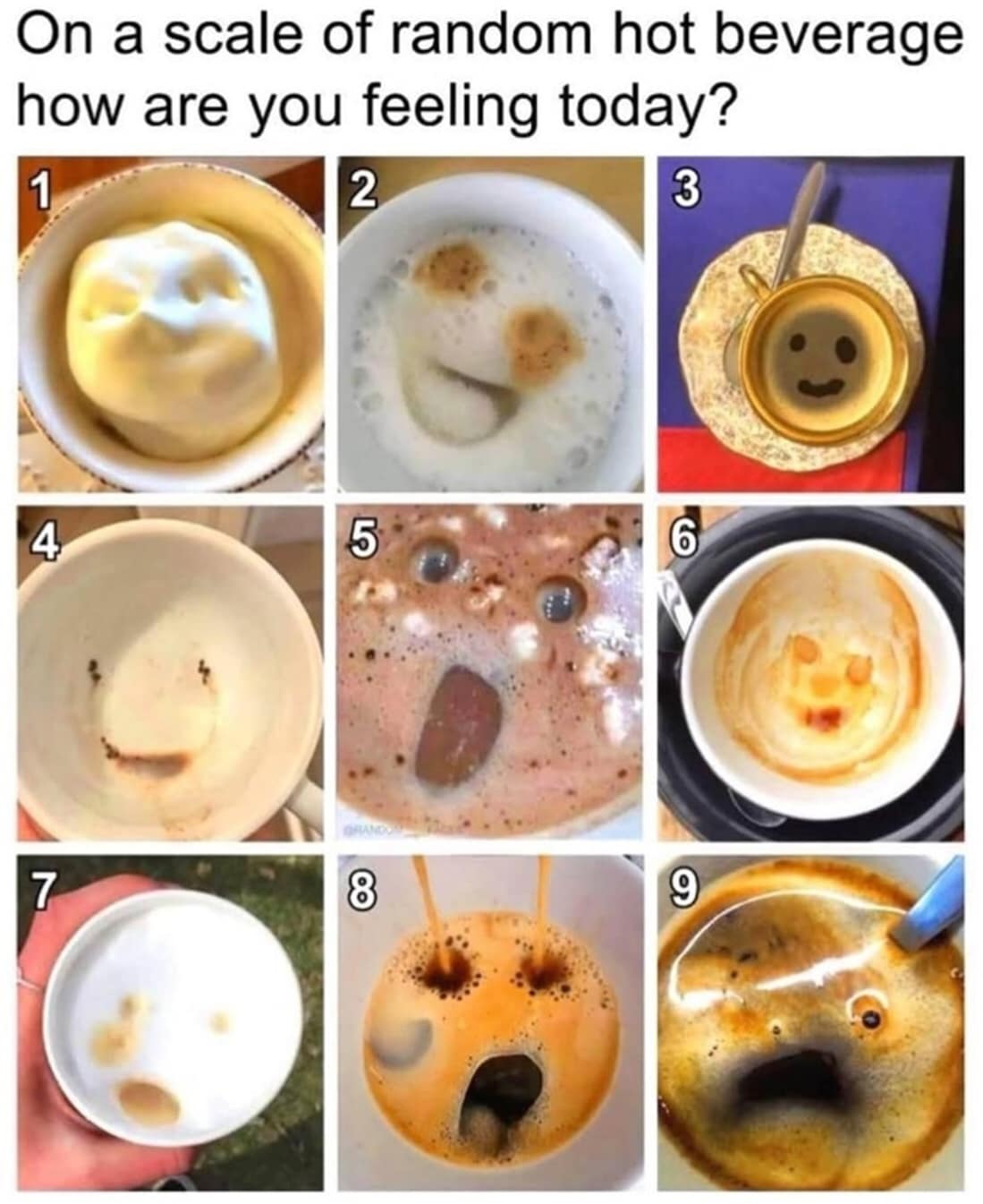 meme dump, funny memes, hilarious memes, trending memes, meme haul, meme stash, comedy memes, viral memes, laugh-out-loud memes, hot memes, dank memes, dank meme dump, memes funny, internet meme