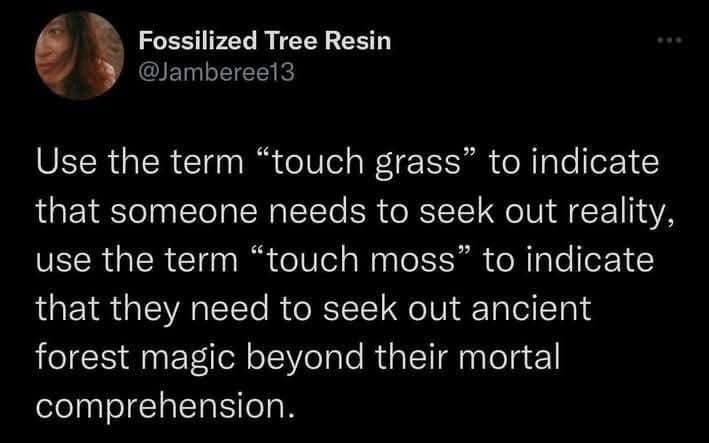 Fossilized Tree Resin @Jamberee13 Use the term "touch grass" to indicate that someone needs to seek out reality, use the term "touch moss" to indicate that they need to seek out ancient forest magic beyond their mortal comprehension.