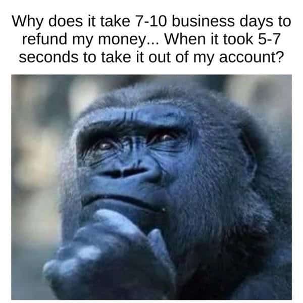 monkey meme, monkey memes, ape memes, funny animal memes, chimp memes, primate jokes, banana memes, gorilla humor, monkey jokes