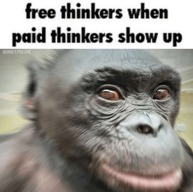 monkey meme, monkey memes, ape memes, funny animal memes, chimp memes, primate jokes, banana memes, gorilla humor, monkey jokes