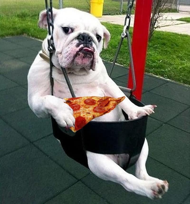 pizza meme, pizza memes, pizza humor, funny pizza moments, pizza lover, pizza jokes, cheesy memes, pizza cravings, humorous food memes, funny food, meme dump
