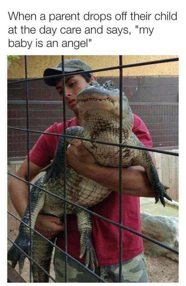 reptile memes, lizard memes, frog memes, snake memes, funny reptile memes, scaly memes, gecko memes, turtle memes, iguana memes, amphibian memes, cold-blooded memes, animal memes, funny animal memes, pet reptile jokes, reptile humor, frog jokes, snake jokes, lizard humor, meme reptiles, reptile laughs