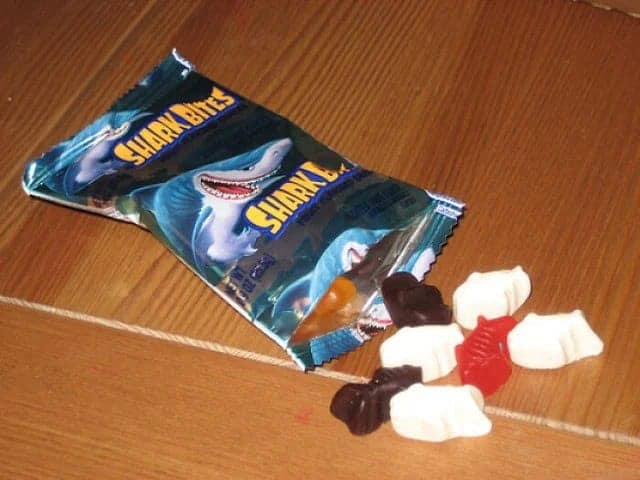 SHARK BITES SHARKE