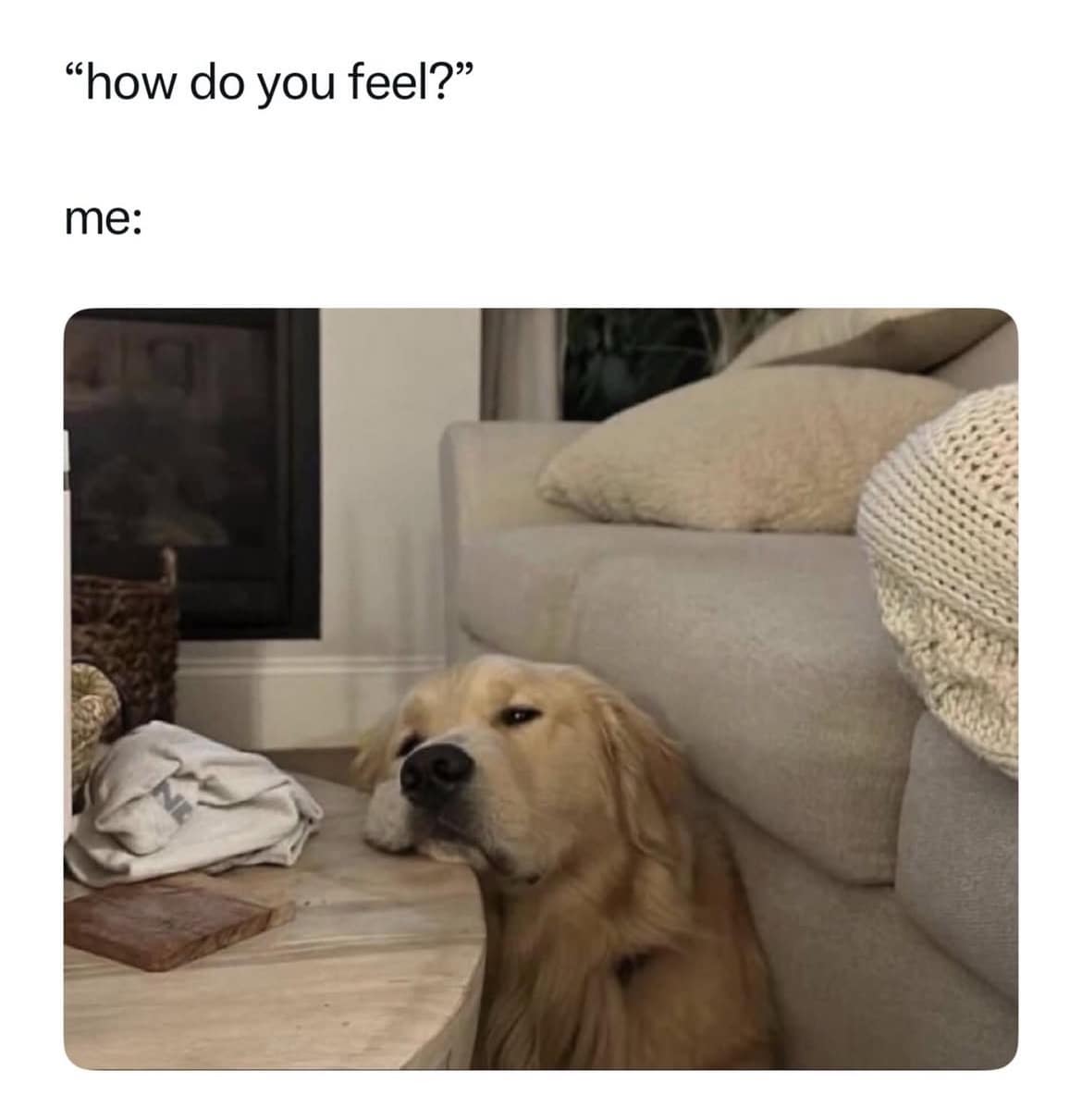 "how do you feel?" me: sad dog