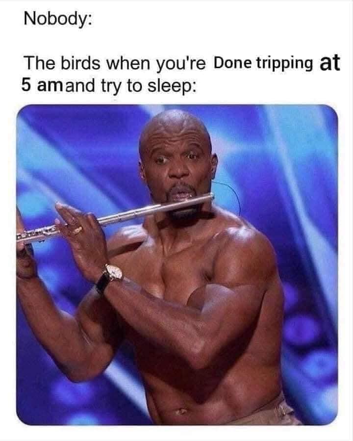 classic memes, vintage memes, viral tweets, meme nostalgia, internet classics, old memes, meme history, trending posts, timeless jokes, viral posts, meme legends, retro memes, top memes, group chat memes, meme archive, evergreen memes, meme favorites, meme timeline, meme throwbacks, legendary posts, shareable memes, best memes