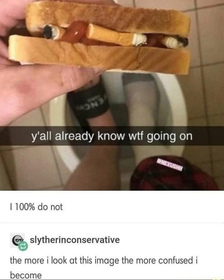 the more i look at this image the more confused i become