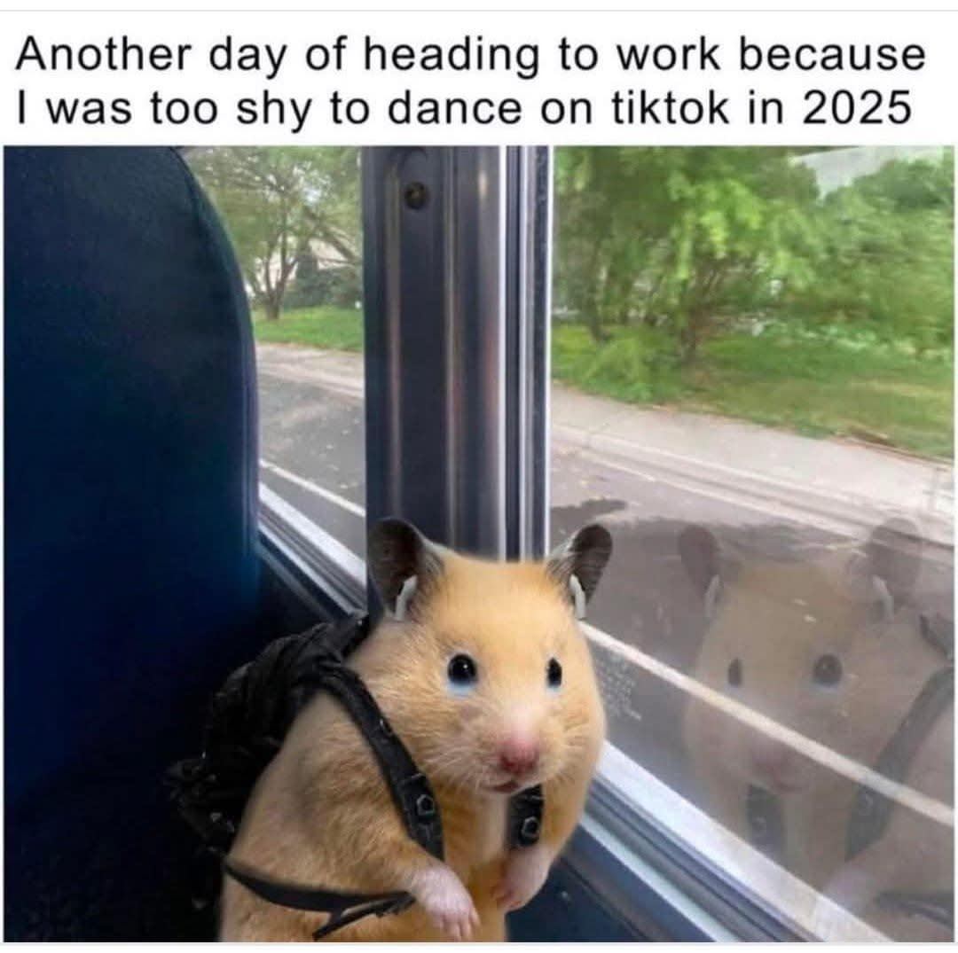 Another day of heading to work because I was too shy to dance on tiktok in 2025