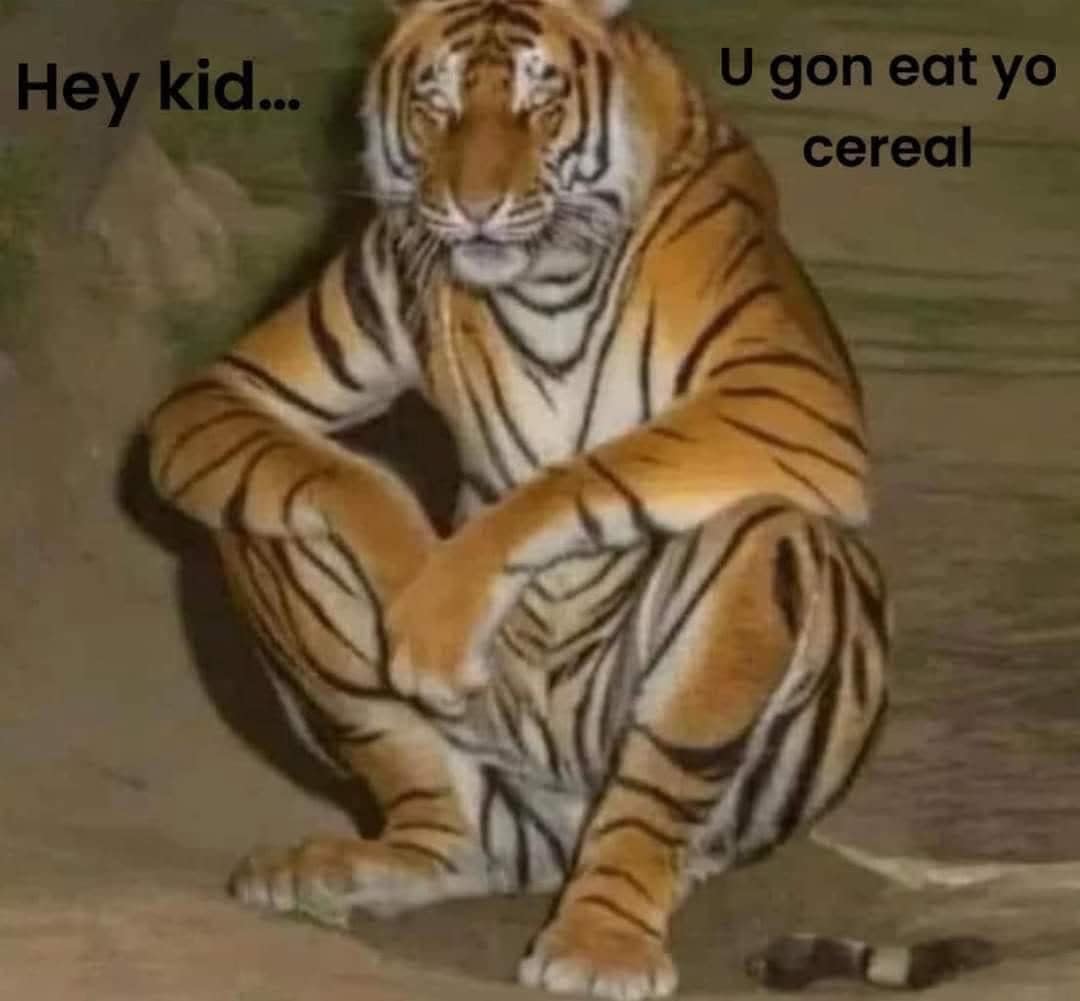 Hey kid... U gon eat yo cereal