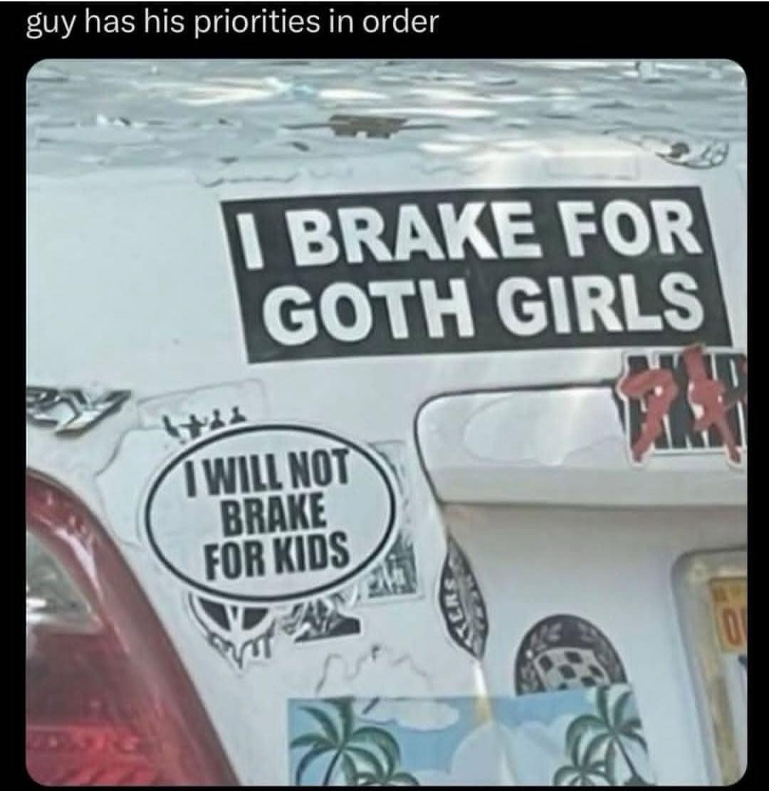 meme dump, funny memes, hilarious memes, meme collection, work memes, office memes, workplace humor, professional memes life memes, everyday memes, relatable memes, sarcastic life humor, lunchtime memes, break memes, lunchtime laughs, midday humor, meme gallery, dank memes, dank meme dump