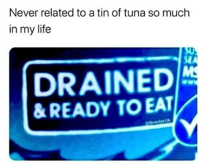 meme dump, funny memes, hilarious memes, meme collection, work memes, office memes, workplace humor, professional memes life memes, everyday memes, relatable memes, sarcastic life humor, lunchtime memes, break memes, lunchtime laughs, midday humor, meme gallery, dank memes, dank meme dump
