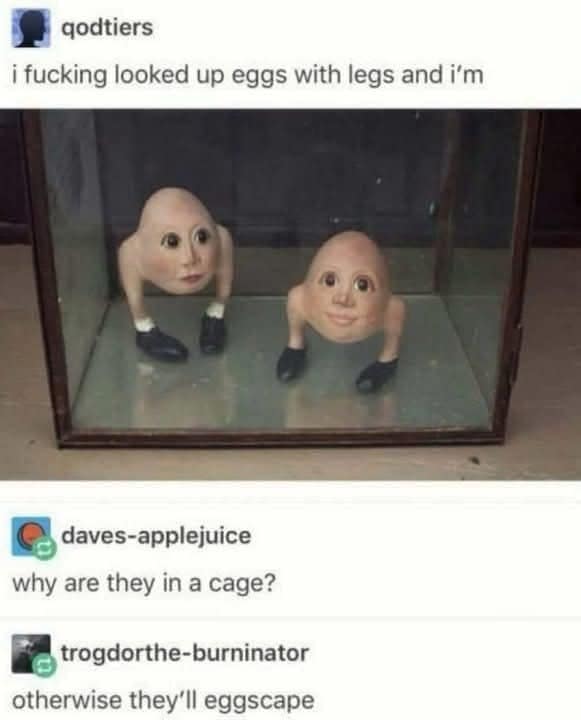 meme dump, funny memes, hilarious memes, trending memes, internet memes, viral memes, fresh memes, relatable memes, meme gallery, daily memes, new memes, meme collection, meme scroll, office memes, group chat memes, hilarious memes, meme distraction, lunch break memes, procrastination memes, shareable memes, random memes, meme roundup, internet meme, dank meme dump