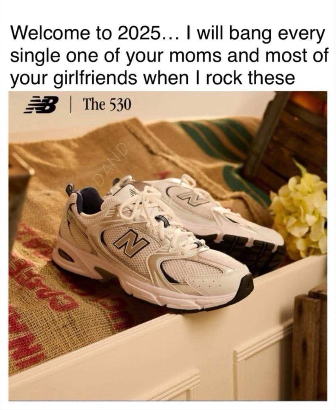 Welcome to 2025... I will bang every single one of your moms and most of your girlfriends when I rock these The 530