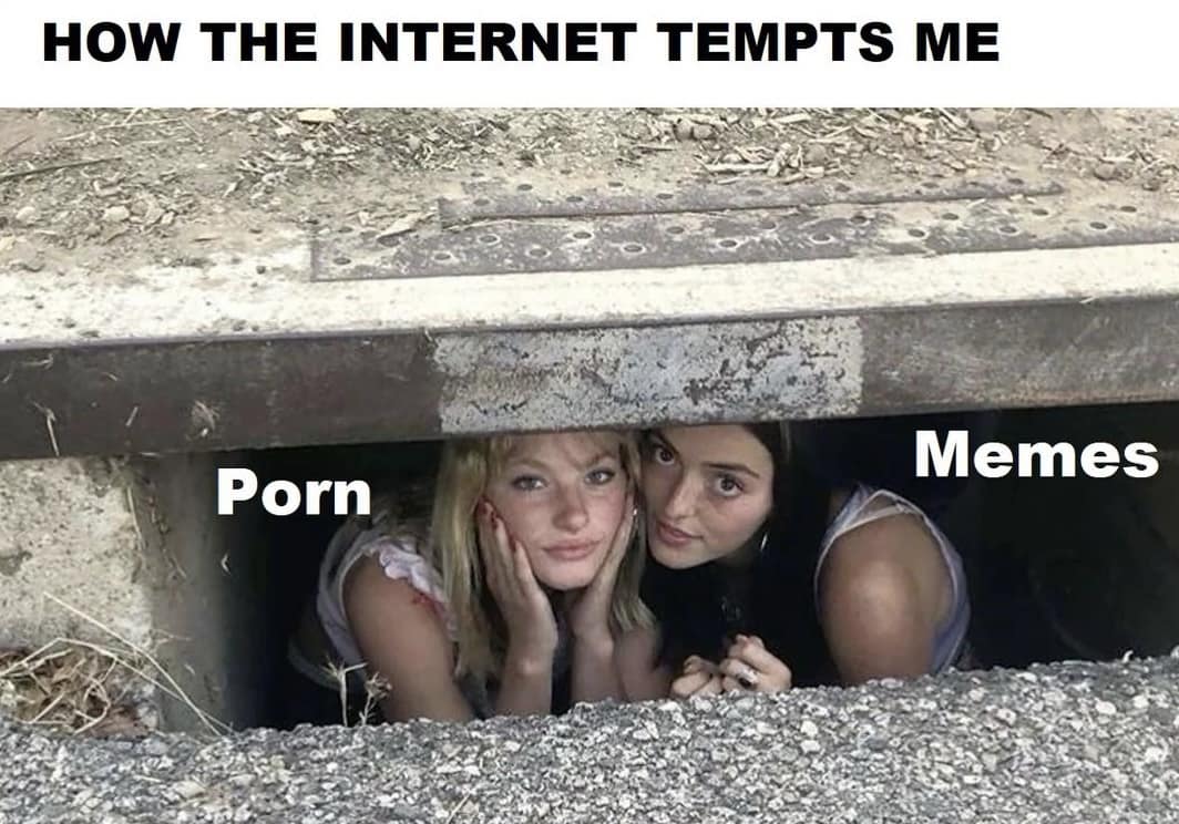 viral memes, trending memes, internet memes, relatable memes, daily memes, meme gallery, group chat memes, meme folder, meme chaos, lunch break memes, procrastination memes, meme distraction, meme page, shareable memes, new memes, work memes, dank memes, meme culture, dank meme dump