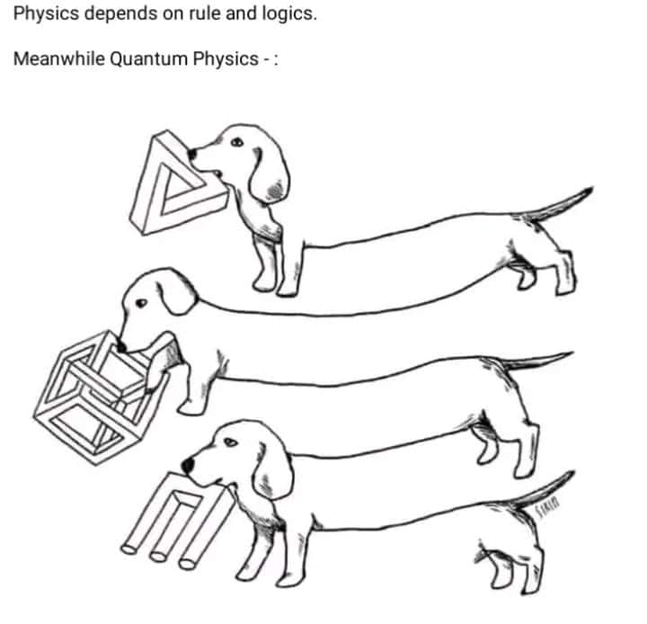 Physics depends on rule and logics. Meanwhile Quantum Physics -