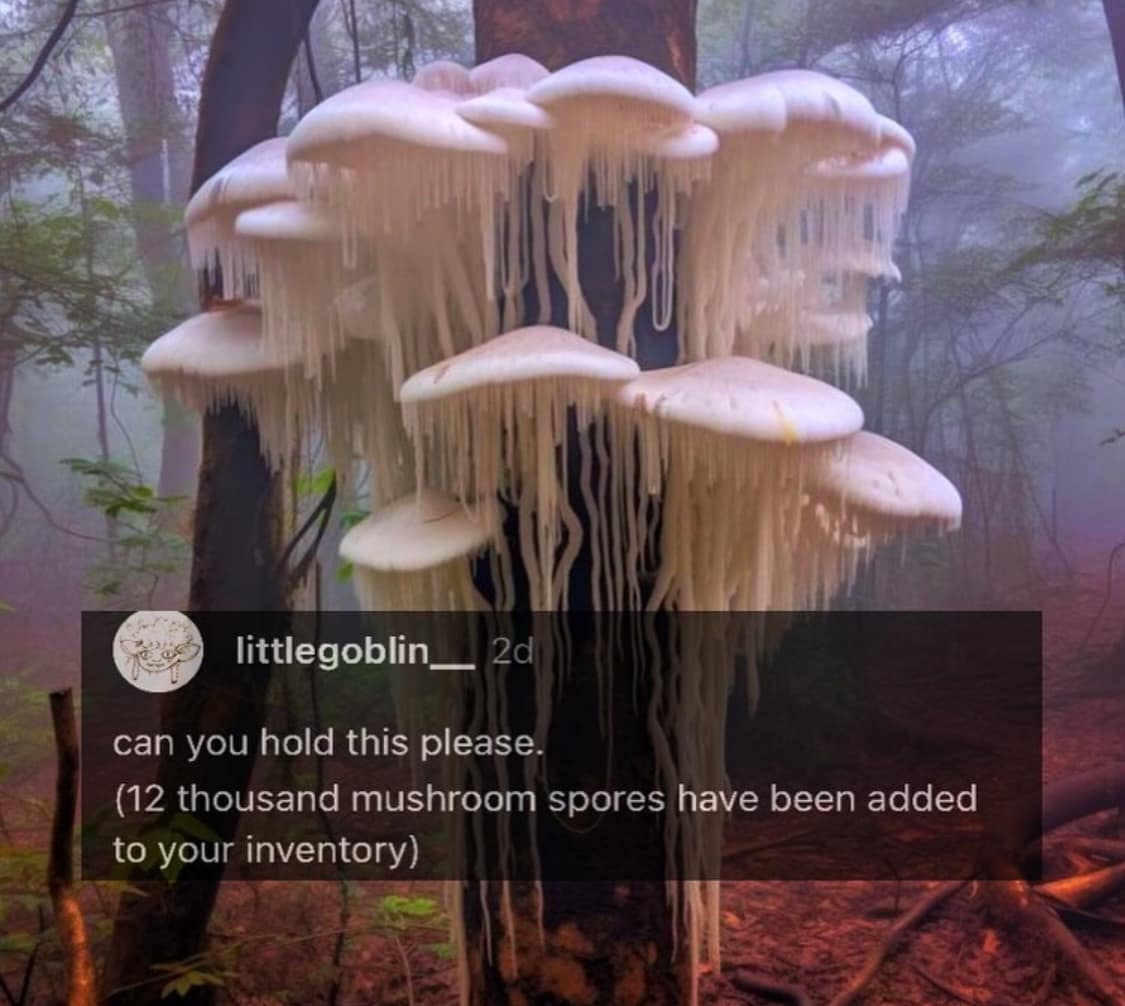 littlegoblin, 2d can you hold this please. (12 thousand mushroom spores have been added to your inventory)