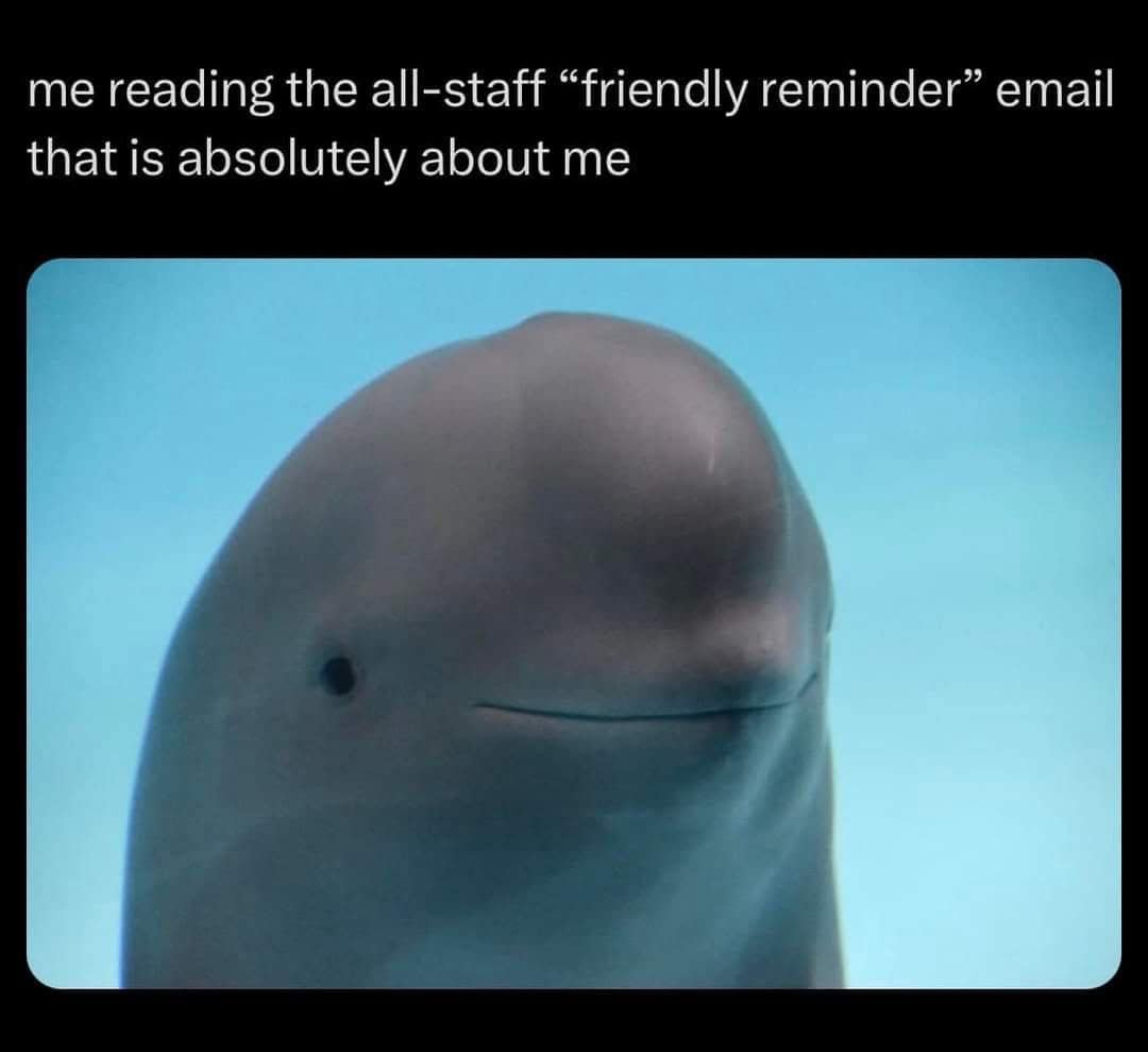 me reading the all-staff "friendly reminder" email that is absolutely about me