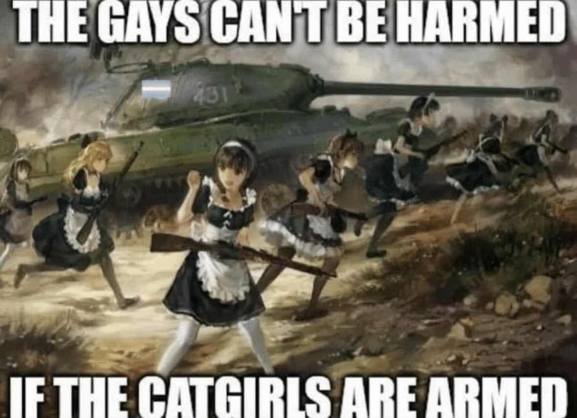 THE GAYS CAN'T BE HARMED IF THE CATGIRLS ARE ARMED