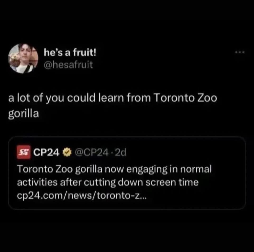 meme dump, funny memes, hilarious memes, trending memes, viral memes, dank memes, snackable humor, internet memes, weekend memes, lazy Sunday memes, comedy scroll, digital humor, weekend chill memes, quick laughs, cozy memes, meme binge, free time memes, humor break, casual memes, instant laughs
