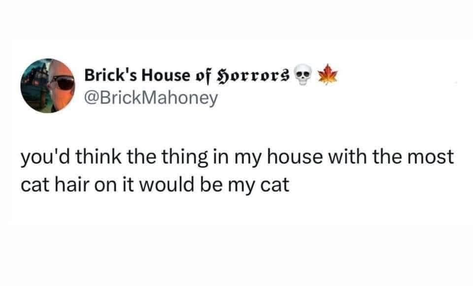 Brick's House of Sorrors e @BrickMahoney you'd think the thing in my house with the most cat hair on it would be my cat