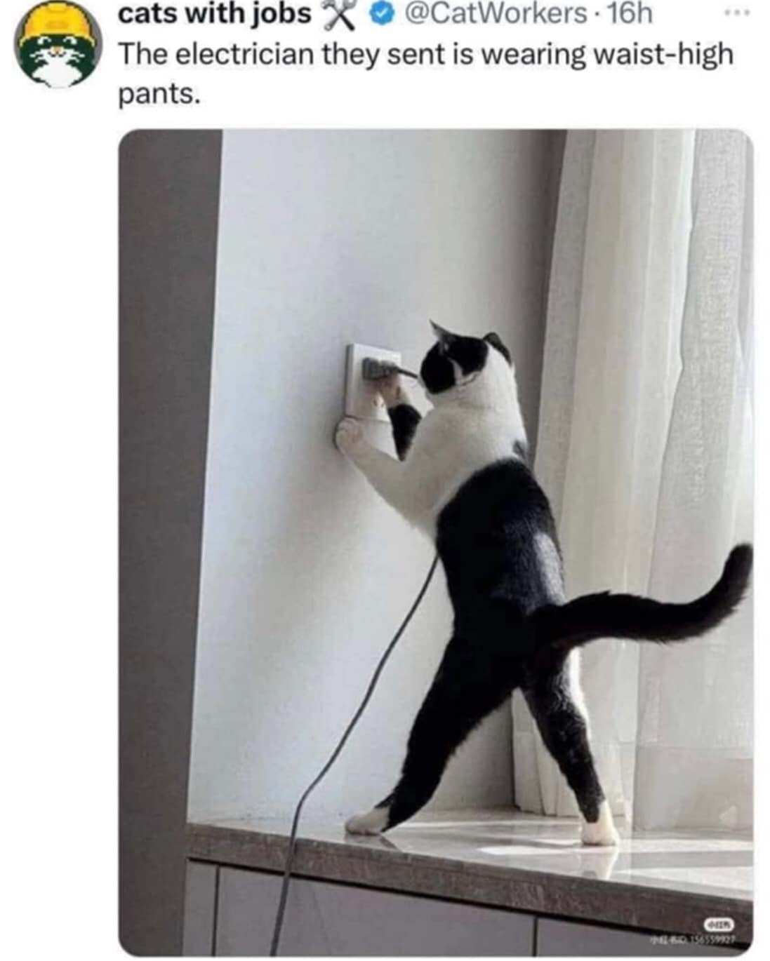 meme dump, funny memes, hilarious memes, trending memes, viral memes, dank memes, snackable humor, internet memes, lunch break memes, quick laughs, comic relief, meme collection, midday laughs, break-time memes, viral content, office memes, digital humor, nternet memes, dank meme dump