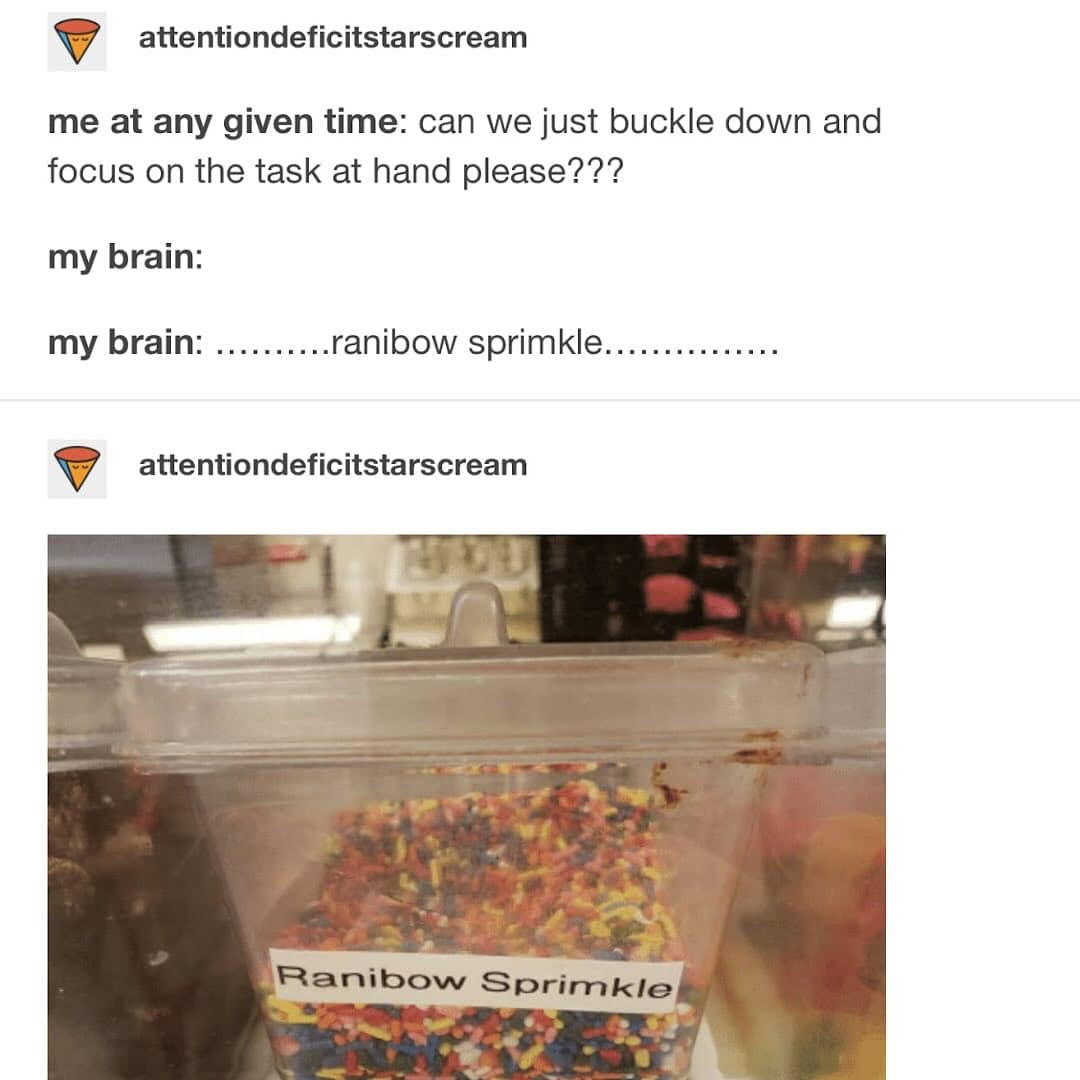 attentiondeficitstarscream me at any given time: can we just buckle down and focus on the task at hand please??? my brain: my brain: ..........ranibow sprimkle............... attentiondeficitstarscream Ranibow Sprimkle