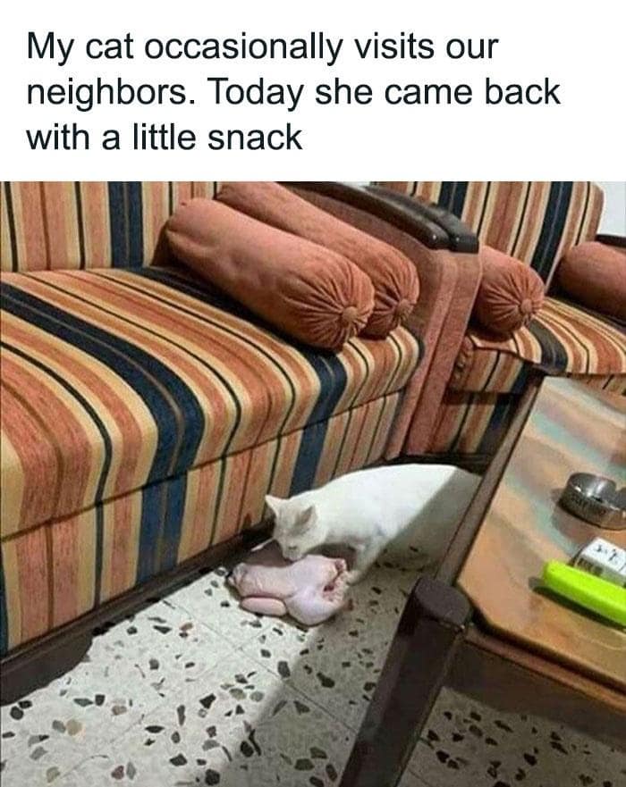 meme dump, funny memes, hilarious memes, lunch break memes, Friday memes, trending memes, quick laughs, funny memes, viral memes, snackable humor, internet memes, work break memes, snack memes, office memes, comic relief, midday memes, Friday laughs, dank memes, dank meme dump