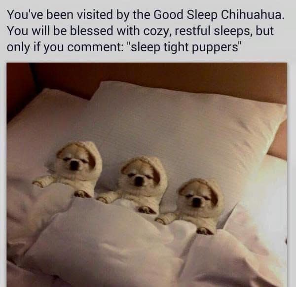 sleeping meme, sleep memes, sleepy memes, tired memes, nap memes, yawn memes, tired humor, drowsy memes, bedtime memes, couch nap memes, desk nap memes, animal sleeping memes, insomnia memes, dream memes, lazy day memes, weekend nap memes, bedtime routine memes, coffee vs sleep memes, afternoon slump memes, pillow memes