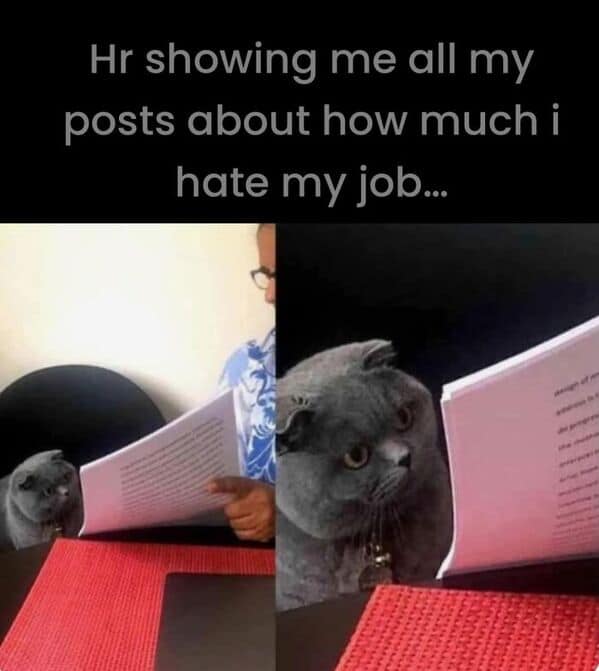 work memes, funny work tweets, office memes, funny work tweets, coworker memes, corporate humor, TGIF memes, work jokes, workplace memes, break-room memes, work fail memes, nine-to-five memes, Friday memes, email memes, Zoom memes, productivity memes, job memes, desk memes, meeting memes, deadline memes
