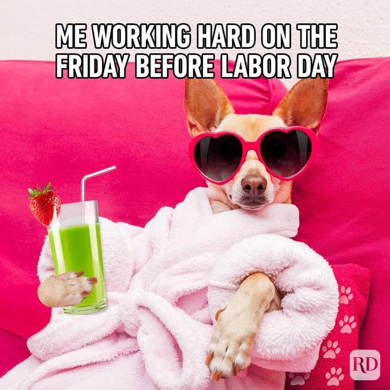 Small dog in a bathrobe with heart sunglasses holding a green smoothie on a pink couch