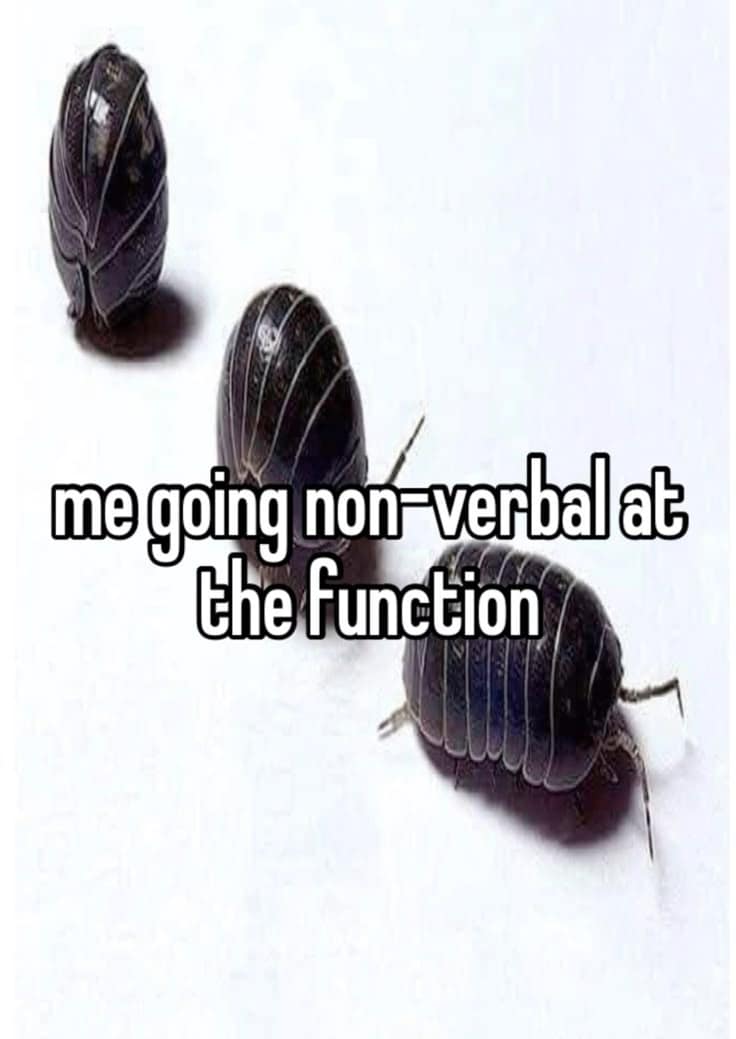 Three pill bugs (roly-polies), with one of them curled up, captioned: “me going non-verbal at the function.” The literal bug behavior used to reflect a social shutdown is a perfect visual metaphor.