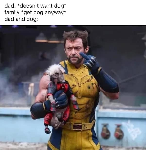 Wolverine in yellow suit carrying a tiny scruffy dog wearing a Deadpool outfit; meme about “dad didn’t want a dog.”