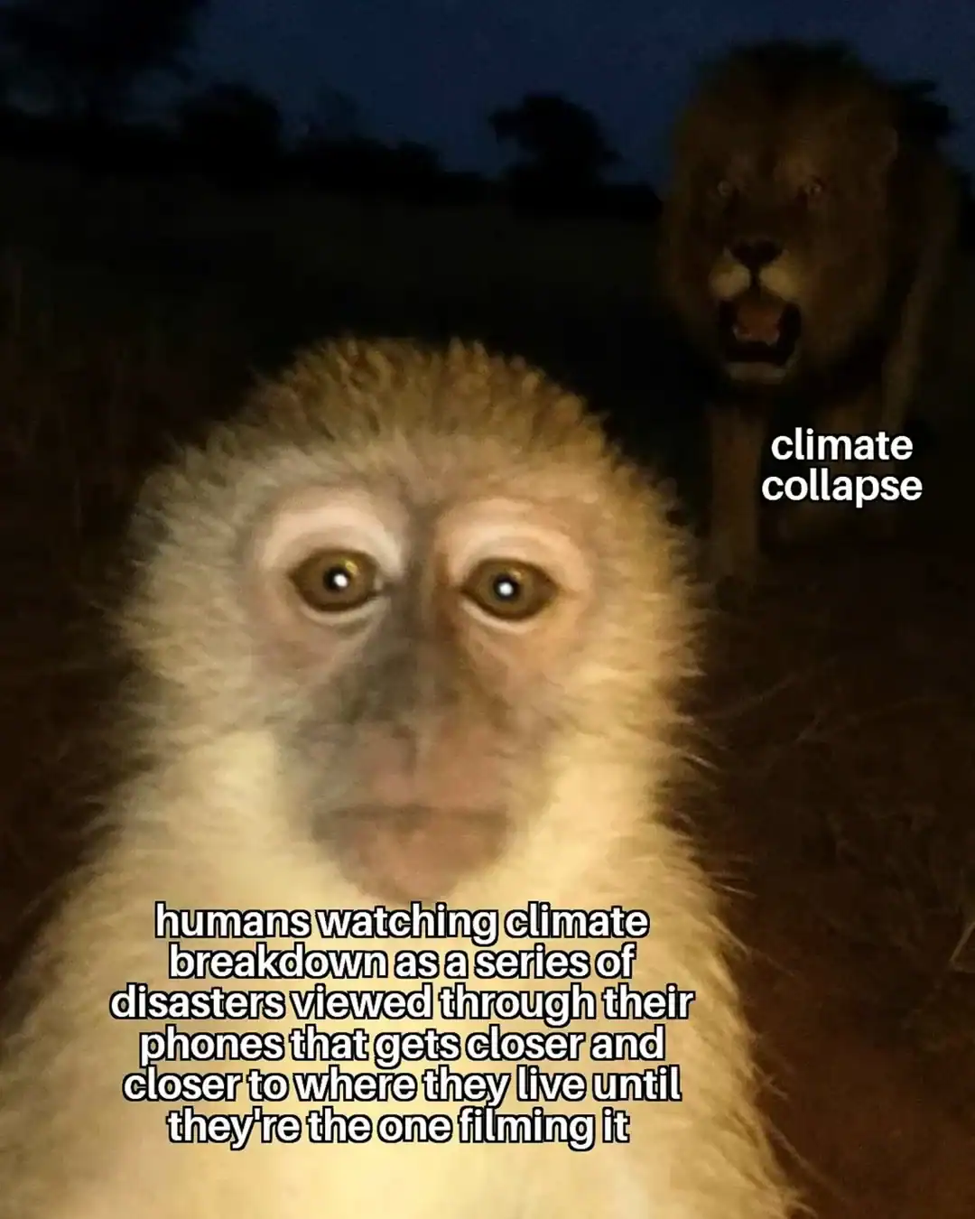A climate change meme of a scared monkey taking a selfie with a lion creeping up behind it.