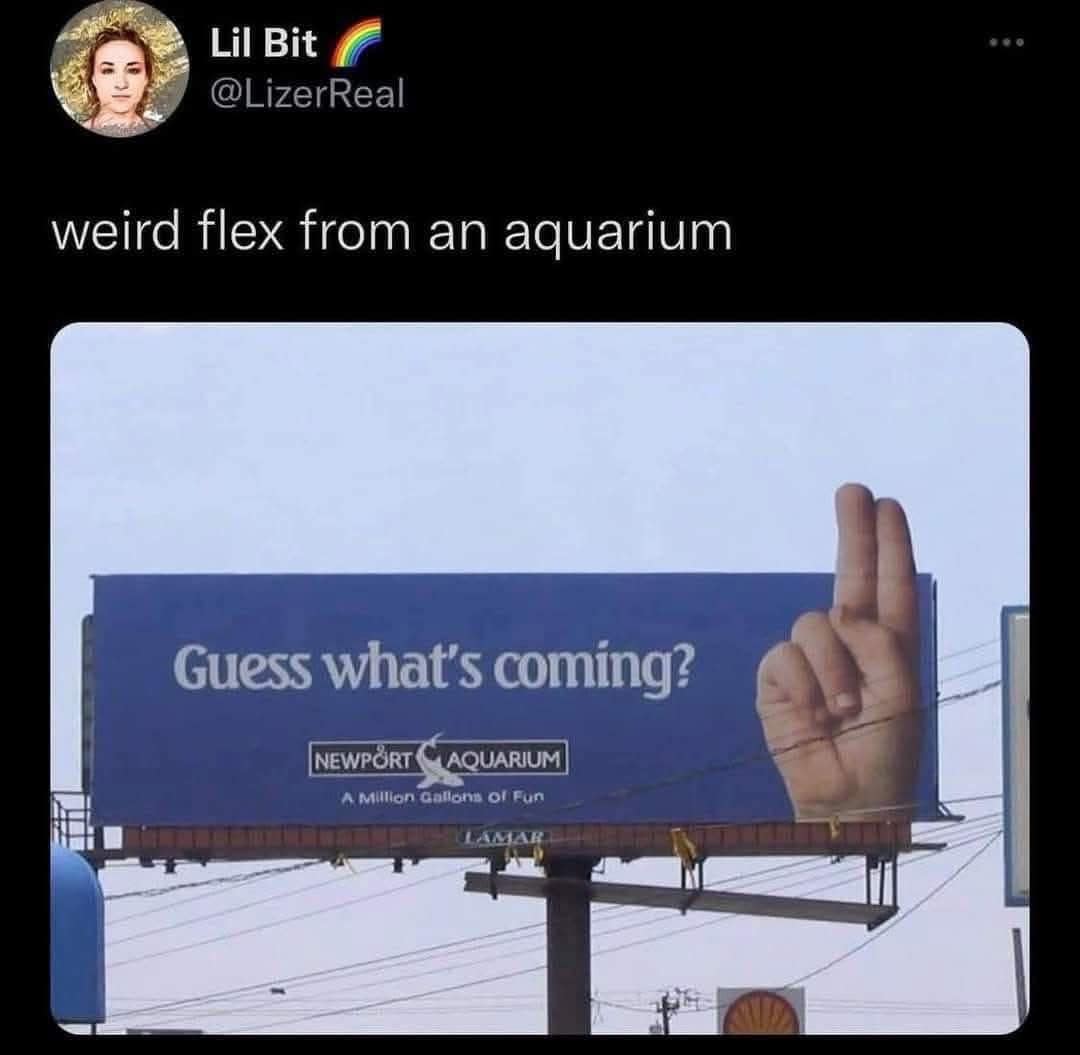 A hilarious screenshot of a billboard for the Newport Aquarium that says "Guess what's coming?" and has a giant hand making a very suggestive and inappropriate gesture.
