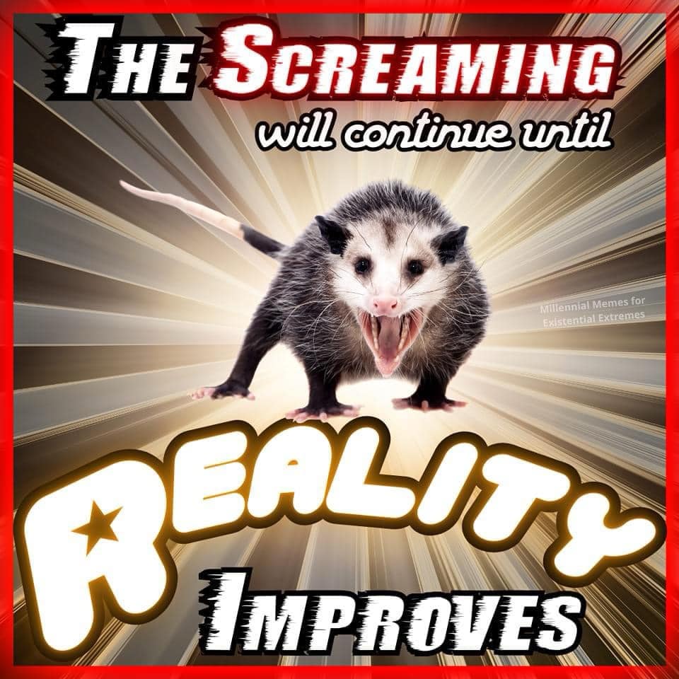 A popular and very relatable reaction meme of a screaming possum that has the dramatic and threatening caption, "The screaming will continue until reality improves."