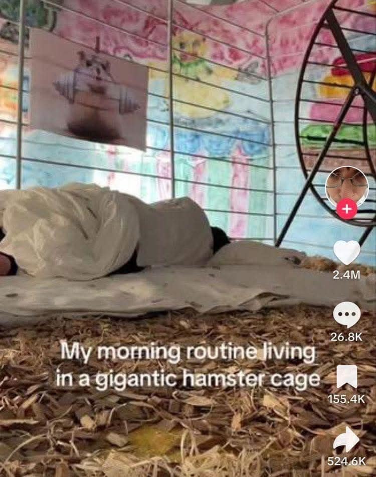 A screenshot from a truly bizarre and very popular TikTok video which shows a person's daily morning routine while they are living inside of a giant, human-sized hamster cage.