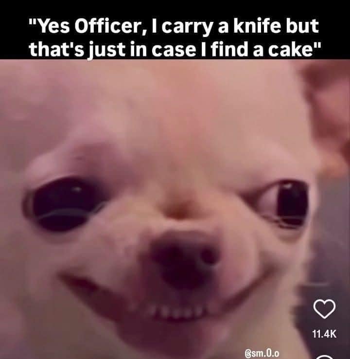 A classic and popular meme of a creepy, wide-eyed, and smiling chihuahua, with a funny and slightly unhinged caption that jokes about carrying a knife around "just in case I find a cake."