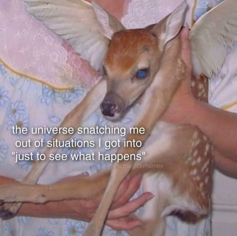 A surreal and funny meme of a person holding a baby deer with angel wings, representing the universe saving you from your own bad decisions.