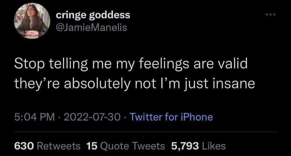 A funny and self-deprecating tweet that rejects the idea of emotional validation by claiming the user's feelings are not valid because they are "just insane."