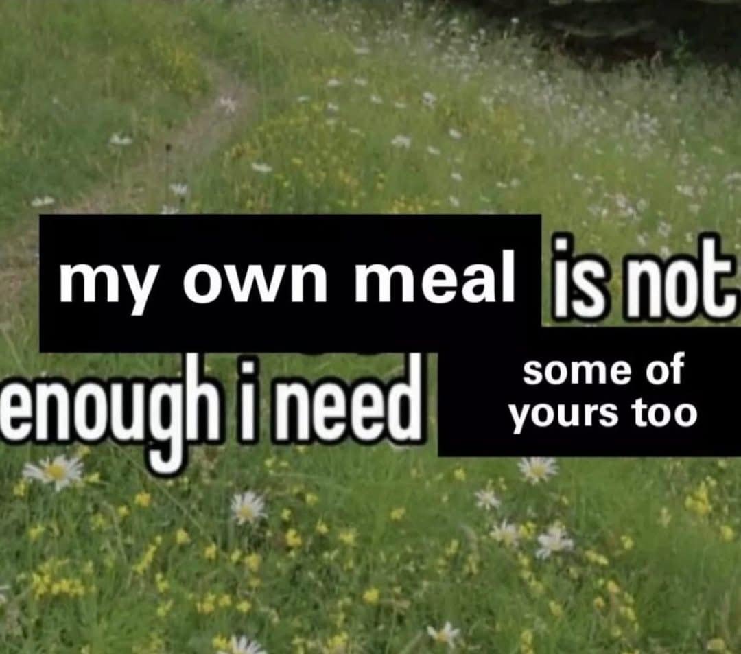 A meme dump with the text "my own meal is not enough i need some of yours too."