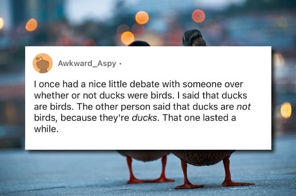 A user on Reddit shares a funny story about getting into a long and frustrating argument with someone who insisted that ducks are not actually birds, because they are ducks.