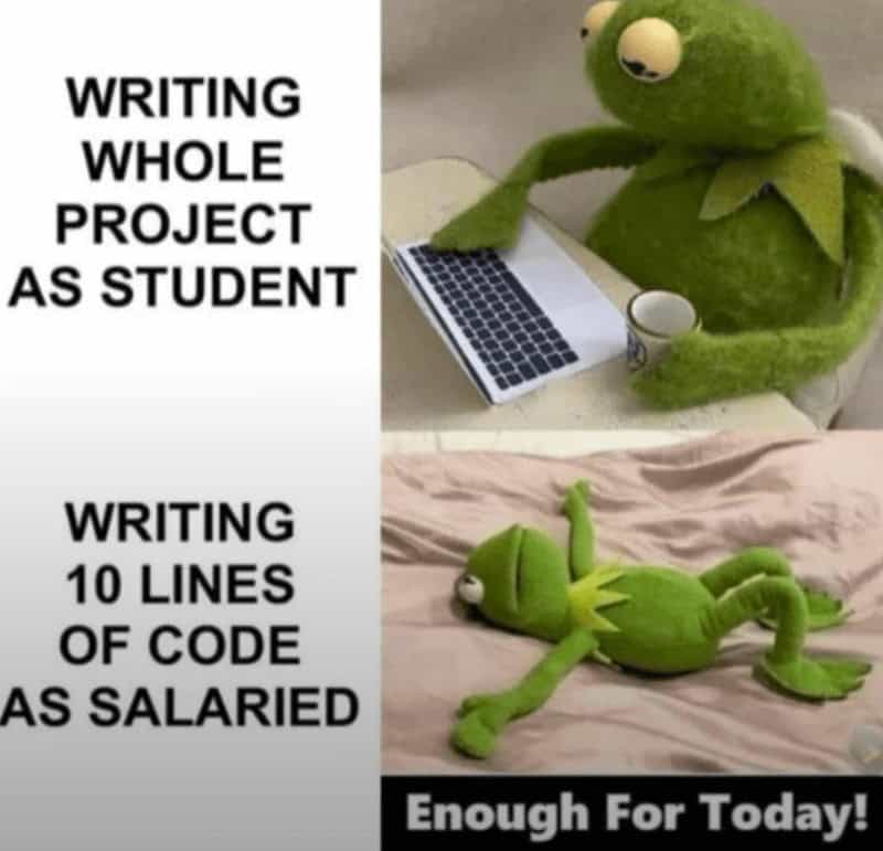 A programmer meme using Kermit the Frog to compare a student's work ethic to a salaried employee's.