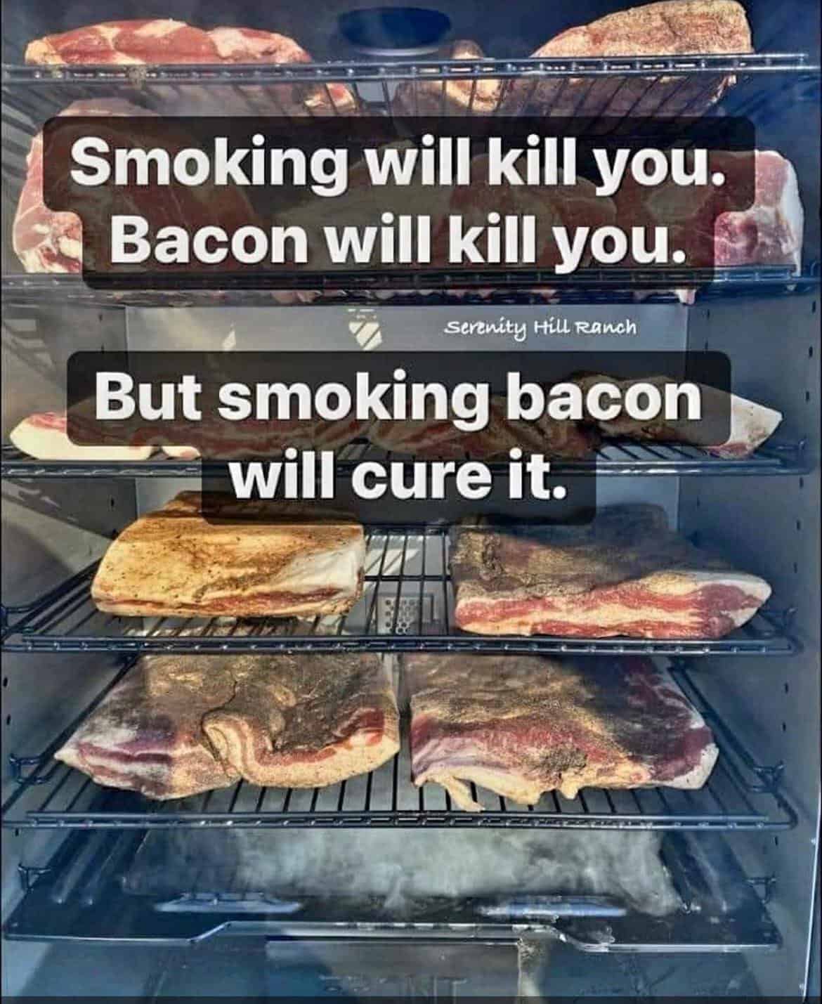 A dad joke pun meme explaining that smoking bacon will "cure" it.