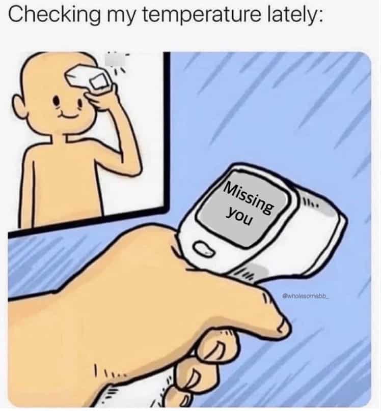 A wholesome and cute relationship meme for when you are sick and also find yourself missing your partner.